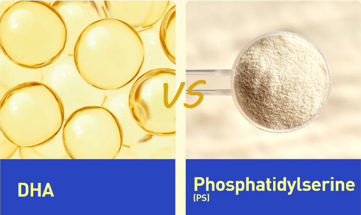 Phosphatidylserine vs DHA: Which Ingredient Better Supports Brain Health?